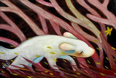 허혜윤, 별을 따라