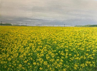 최문아, 봄날의 위로