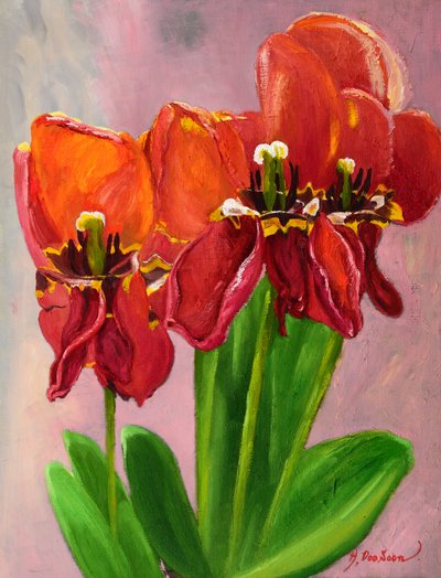 황두순, The Joy[튜립]