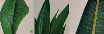 이아롱, 綠: 쉼_9