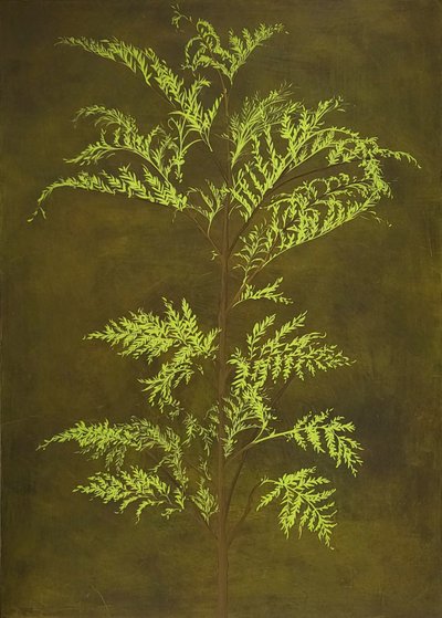 이아롱, 綠 쉼_12