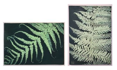 이아롱, 綠 쉼_13