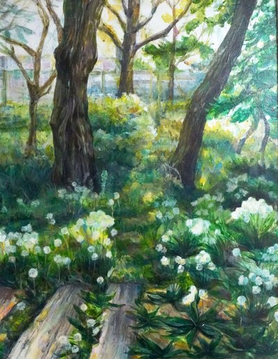 전하린, 빛자락