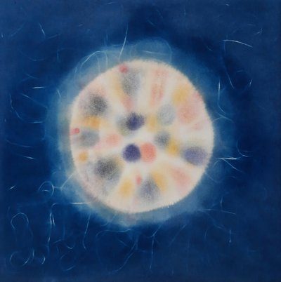 서의정, 확산(拡散)