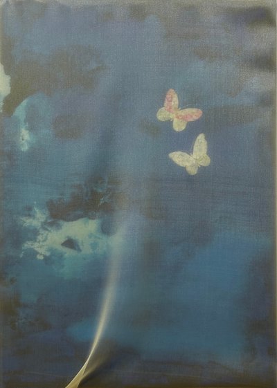 안선영, Blue hour_날아오르다01