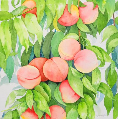 로즈풀, 복숭아