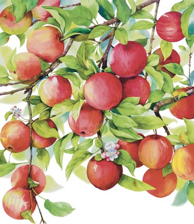 로즈풀, 행복이 주렁주렁 열려요