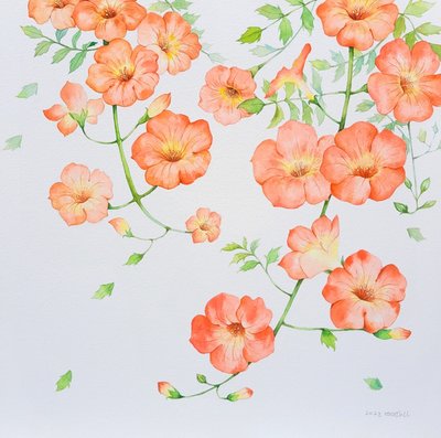 로즈풀, 여름향기(능소화)