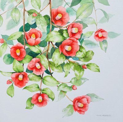 로즈풀, 겨울속의 붉은동백