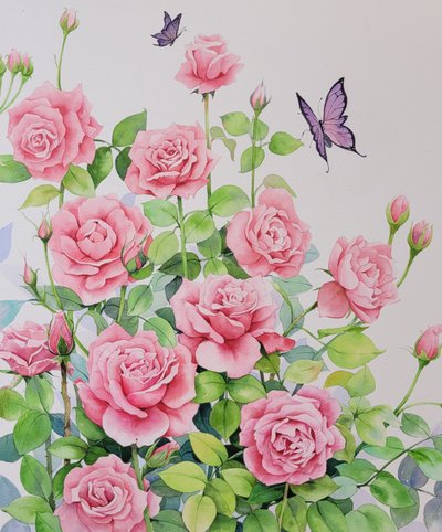 로즈풀, 장미의 속삭임