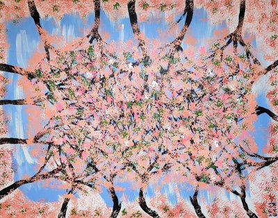 칼파 김영수, 벚꽃나무