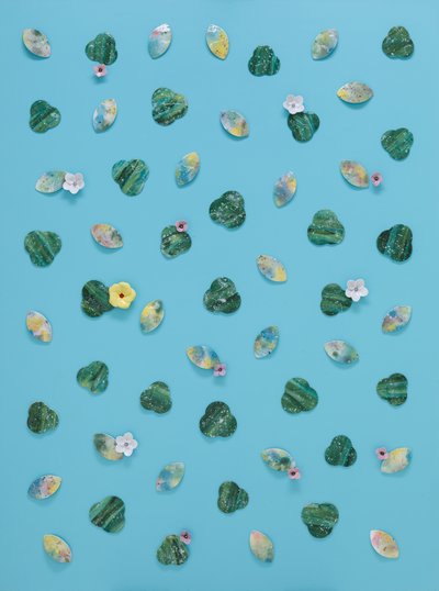 도화 김소영, Forever bloom  멸종위기 야생식물1급_한라솜다리