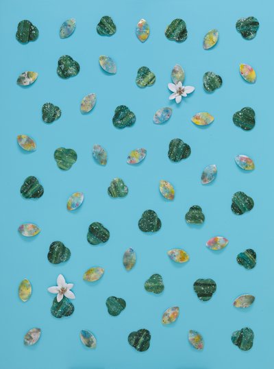 도화 김소영, Forever bloom  멸종위기 야생식물1급_황근