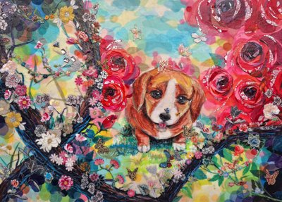 김정열, 여긴도대체 어디지?