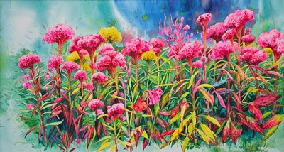 강은주, 맨드라미