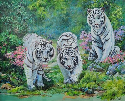 강은주, 호랑이 가족의 봄