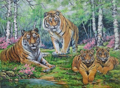 강은주, 호랑이 가족