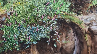 강은주, 하수구에 핀 이름 모를 꽃