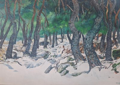 강은주, 겨울 솔밭