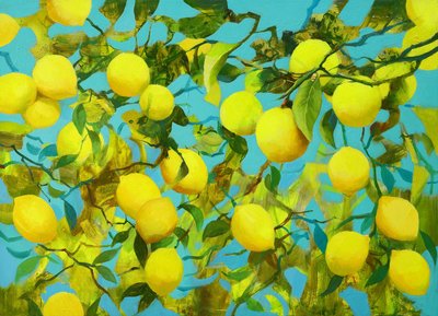 유연선, 레몬하늘