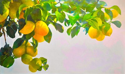 유연선, 하늘조각