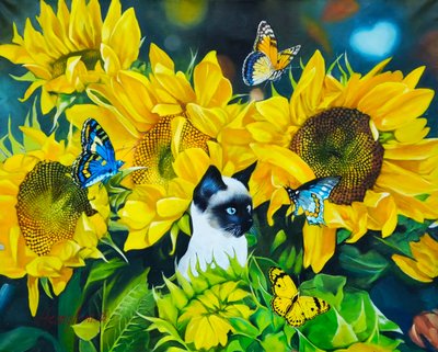 한상훈, 날좀봐요 01