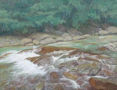 윤양숙, 밤낮으로 멈추지 않는다