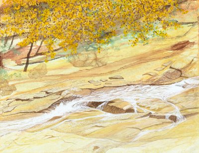 윤양숙, 낮은 곳으로