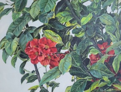 박가영, 수줍은 인사