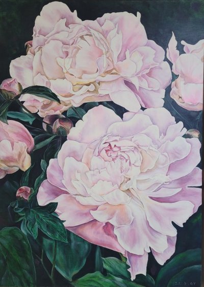 박가영, 순수