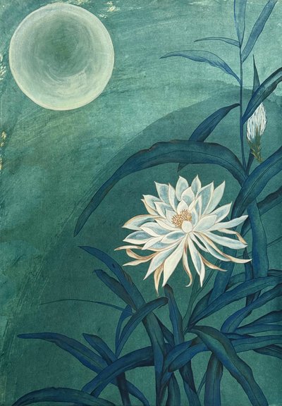 박소영, 보름달 아래 흐르는 꽃의 순간