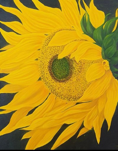 김미경, 해바라기  1