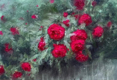 김규찬, 장미 Rose