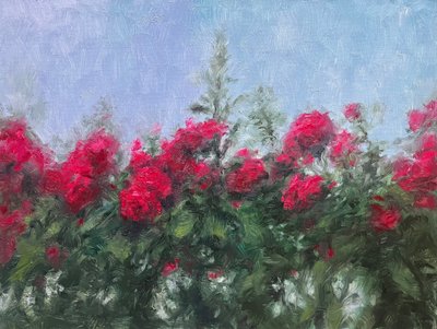 김규찬, 하늘과 장미 Sky and Rose