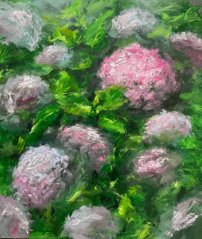 김규찬, 수국 Hydrangea