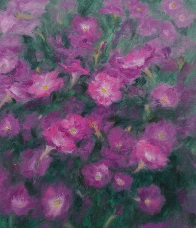 김규찬, 페튜니아 Petunia