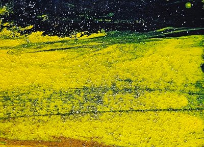 후후, Yellow 54
