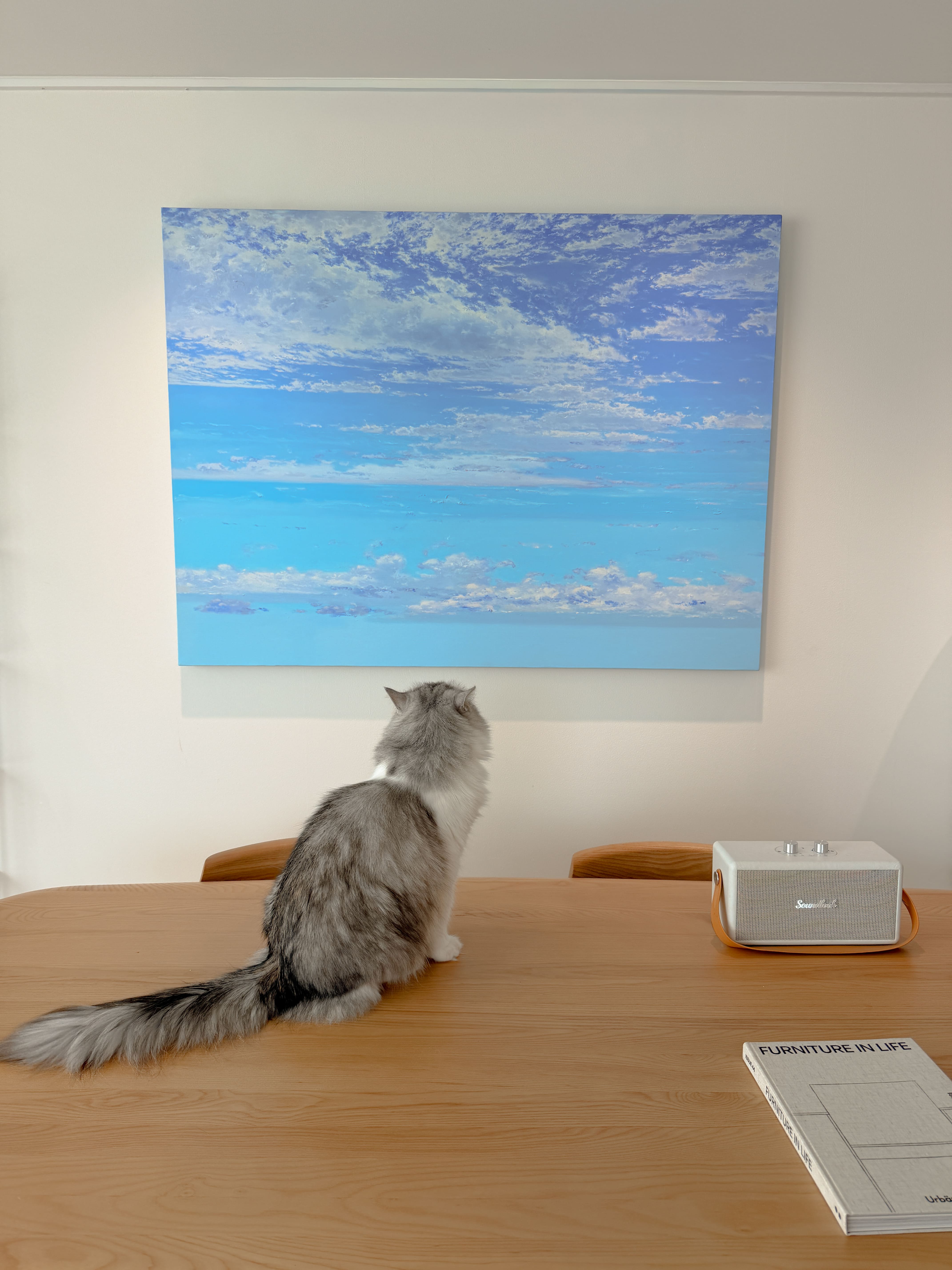 @mornaliza_님의 힐링되는 공간