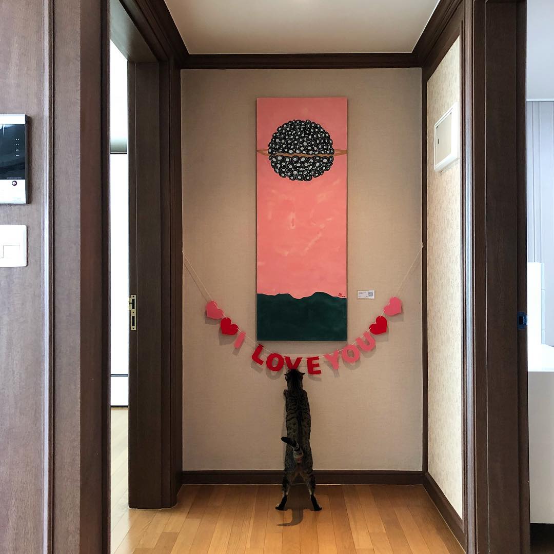 dumbo80 님의 쾌적한 공간