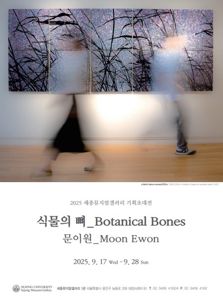 전시 이미지